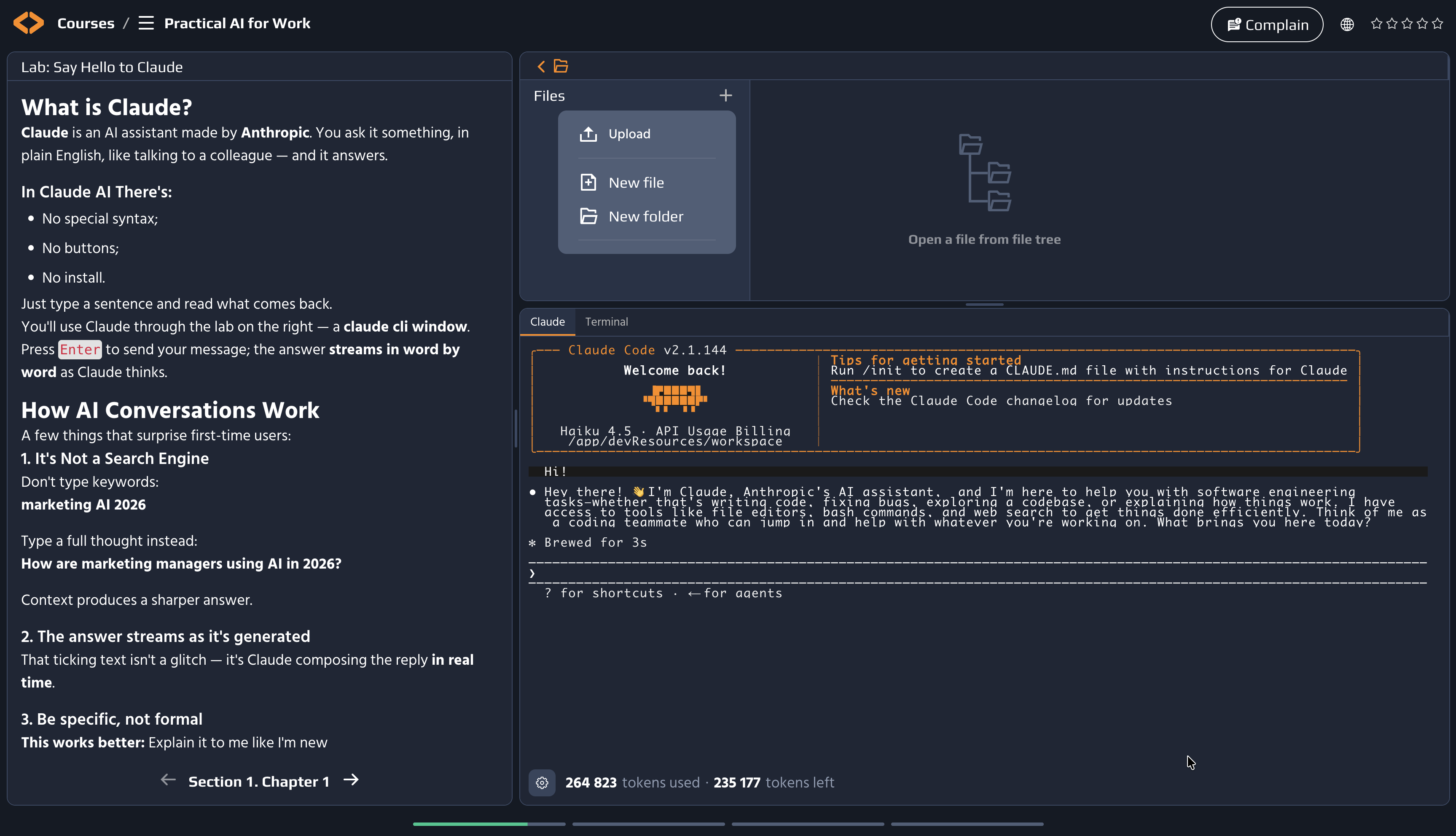 Codefinity lab with Claude annotated